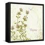 Herb Thyme on Floral Background-Milovelen-Framed Stretched Canvas