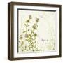 Herb Thyme on Floral Background-Milovelen-Framed Art Print