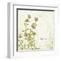 Herb Thyme on Floral Background-Milovelen-Framed Art Print