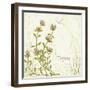 Herb Thyme on Floral Background-Milovelen-Framed Art Print