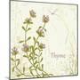 Herb Thyme on Floral Background-Milovelen-Mounted Art Print