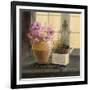 Herb Window Garden-Angela Staehling-Framed Art Print