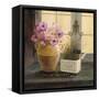 Herb Window Garden-Angela Staehling-Framed Stretched Canvas