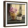 Herb Window Garden-Angela Staehling-Framed Art Print