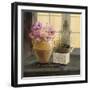 Herb Window Garden-Angela Staehling-Framed Art Print