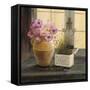 Herb Window Garden-Angela Staehling-Framed Stretched Canvas