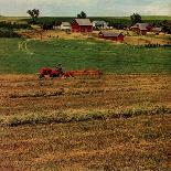 "Alfalfa Field,"July 1, 1948-Herb Zeck-Framed Stretched Canvas