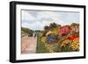 Herbaceous Border, Rotten Row, Southport-Alfred Robert Quinton-Framed Giclee Print