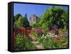 Herbaceous Borders in the Gardens, Crathes Castle, Grampian, Scotland, UK, Europe-Kathy Collins-Framed Stretched Canvas