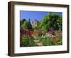 Herbaceous Borders in the Gardens, Crathes Castle, Grampian, Scotland, UK, Europe-Kathy Collins-Framed Photographic Print