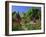 Herbaceous Borders in the Gardens, Crathes Castle, Grampian, Scotland, UK, Europe-Kathy Collins-Framed Photographic Print