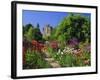 Herbaceous Borders in the Gardens, Crathes Castle, Grampian, Scotland, UK, Europe-Kathy Collins-Framed Photographic Print