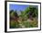 Herbaceous Borders in the Gardens, Crathes Castle, Grampian, Scotland, UK, Europe-Kathy Collins-Framed Photographic Print