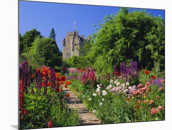 Herbaceous Borders in the Gardens, Crathes Castle, Grampian, Scotland, UK, Europe-Kathy Collins-Mounted Photographic Print