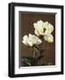 Herbaceous Peony, 19th Century-Ogawa Kazuma-Framed Giclee Print