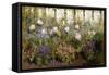 Herbacious Border-Patrick William Adam-Framed Stretched Canvas