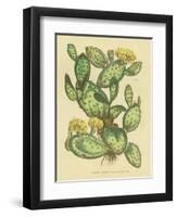 Herbal Botanical XXIX-Wild Apple Portfolio-Framed Art Print