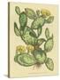 Herbal Botanical XXIX-Wild Apple Portfolio-Stretched Canvas