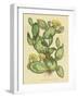 Herbal Botanical XXIX-Wild Apple Portfolio-Framed Art Print