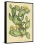 Herbal Botanical XXIX-Wild Apple Portfolio-Framed Stretched Canvas