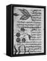 Herbal Medicine, 8th Century-Science Photo Library-Framed Stretched Canvas