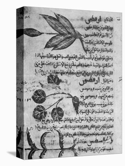 Herbal Medicine, 8th Century-Science Photo Library-Stretched Canvas