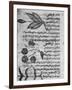 Herbal Medicine, 8th Century-Science Photo Library-Framed Photographic Print