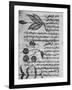 Herbal Medicine, 8th Century-Science Photo Library-Framed Photographic Print