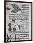 Herbal Medicine, 8th Century-Science Photo Library-Framed Photographic Print