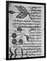 Herbal Medicine, 8th Century-Science Photo Library-Framed Photographic Print