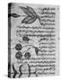 Herbal Medicine, 8th Century-Science Photo Library-Stretched Canvas