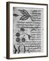 Herbal Medicine, 8th Century-Science Photo Library-Framed Photographic Print