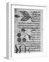 Herbal Medicine, 8th Century-Science Photo Library-Framed Photographic Print