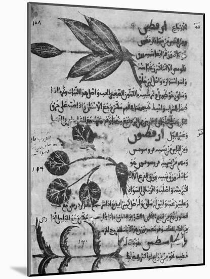 Herbal Medicine, 8th Century-Science Photo Library-Mounted Photographic Print