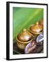 Herbal Oil Used for Oriental Massage-Angelo Cavalli-Framed Premium Photographic Print