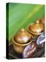 Herbal Oil Used for Oriental Massage-Angelo Cavalli-Stretched Canvas