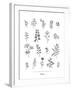 Herbarium Blomst-Lucy Francis-Framed Giclee Print