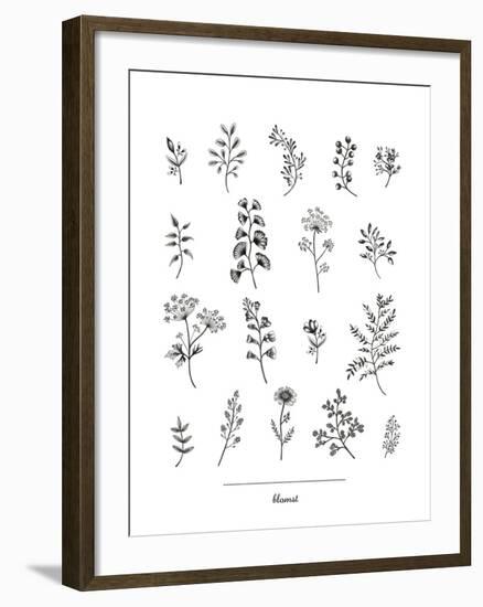 Herbarium Blomst-Lucy Francis-Framed Giclee Print