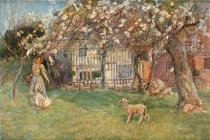 'Lambs', c1904-Herbert Alexander Collins-Framed Giclee Print