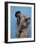 Herbert Bernett Enjoys A Smoke As He Rests Between Playing Jazz On His Sax In Mobile, Alabama-Carol Highsmith-Framed Art Print