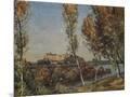 Wood Mount