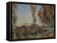 Framed Canvas
