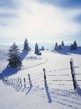 Vineyards in autumn in Esslingen/Neckar-Herbert Kehrer-Photographic Print