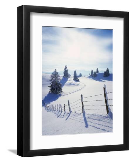 Premium Photographic Print, , large