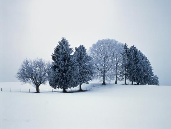 Premium Photographic Print, , large