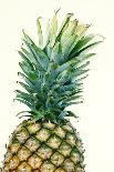 Pineapples, Detail, South-Fruit, Fruit, Collective-Fruit-Herbert Kehrer-Photographic Print