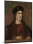 Herbert of Raglan, (Charles of Somerset, Baro), Aged 30, A.D 1505, 20th Century-null-Mounted Giclee Print