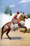 An Arab Dancing Horse, Udaipur, India, 1922-Herbert Ponting-Giclee Print