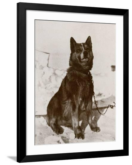 Photographic Print, , large