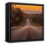 Canvas Black